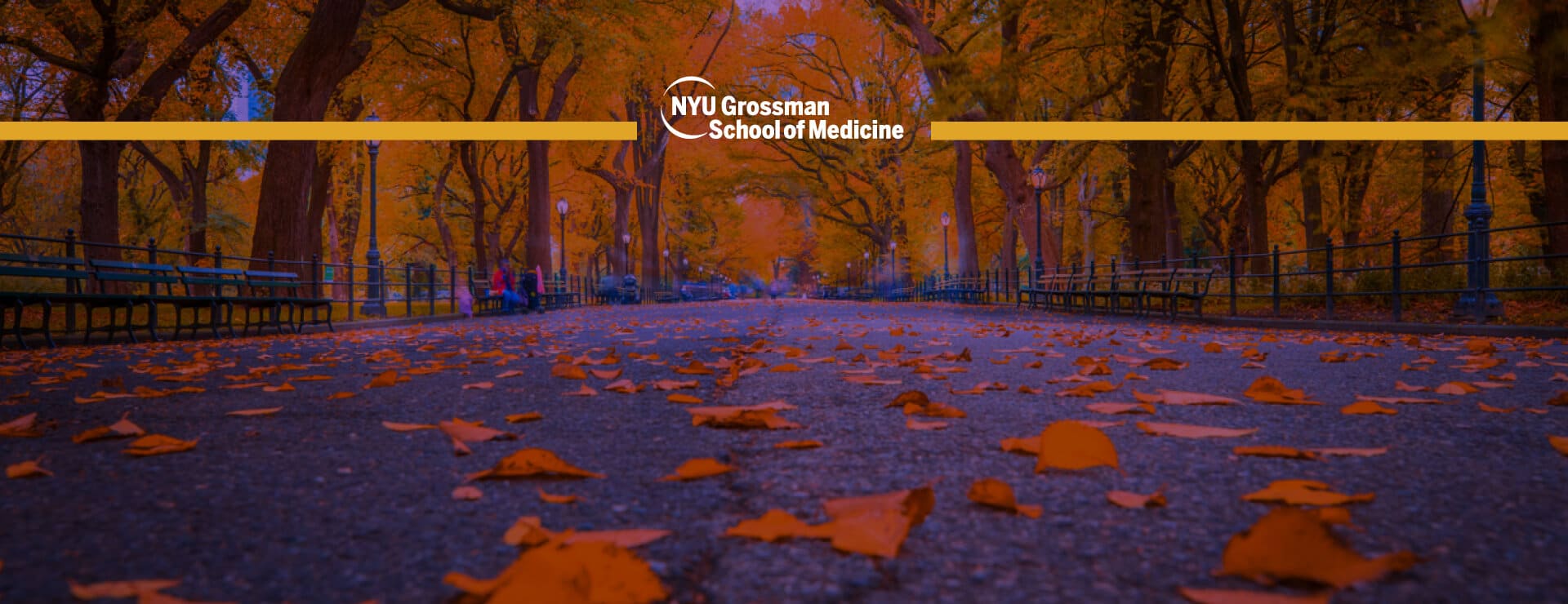 The NYU Alumni Reunion Banner Image of Fall Leaves on a park pathway