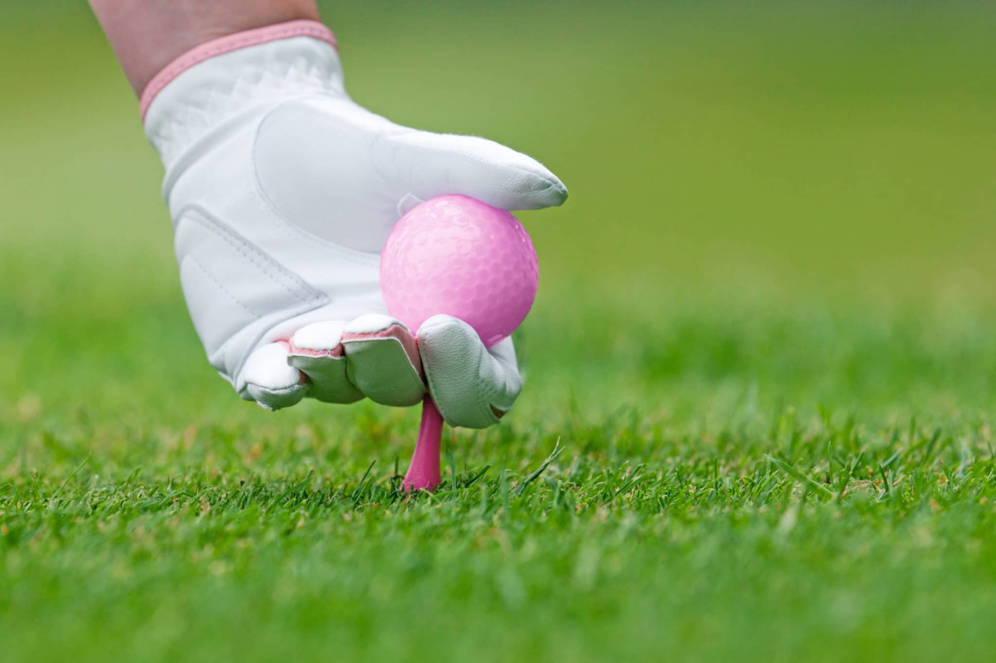 A hand holding a pink golf ball and placing it on the golf tee