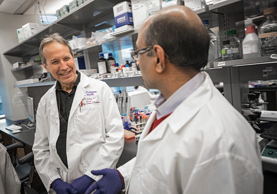 Drs. Ira Goldberg and Ravichandran Ramasamy in the lab
