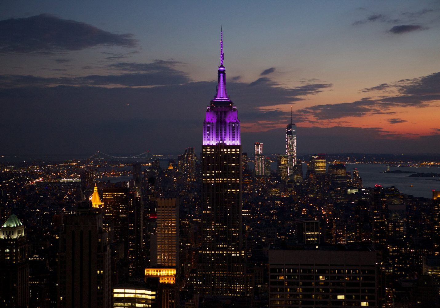 ESB Purple