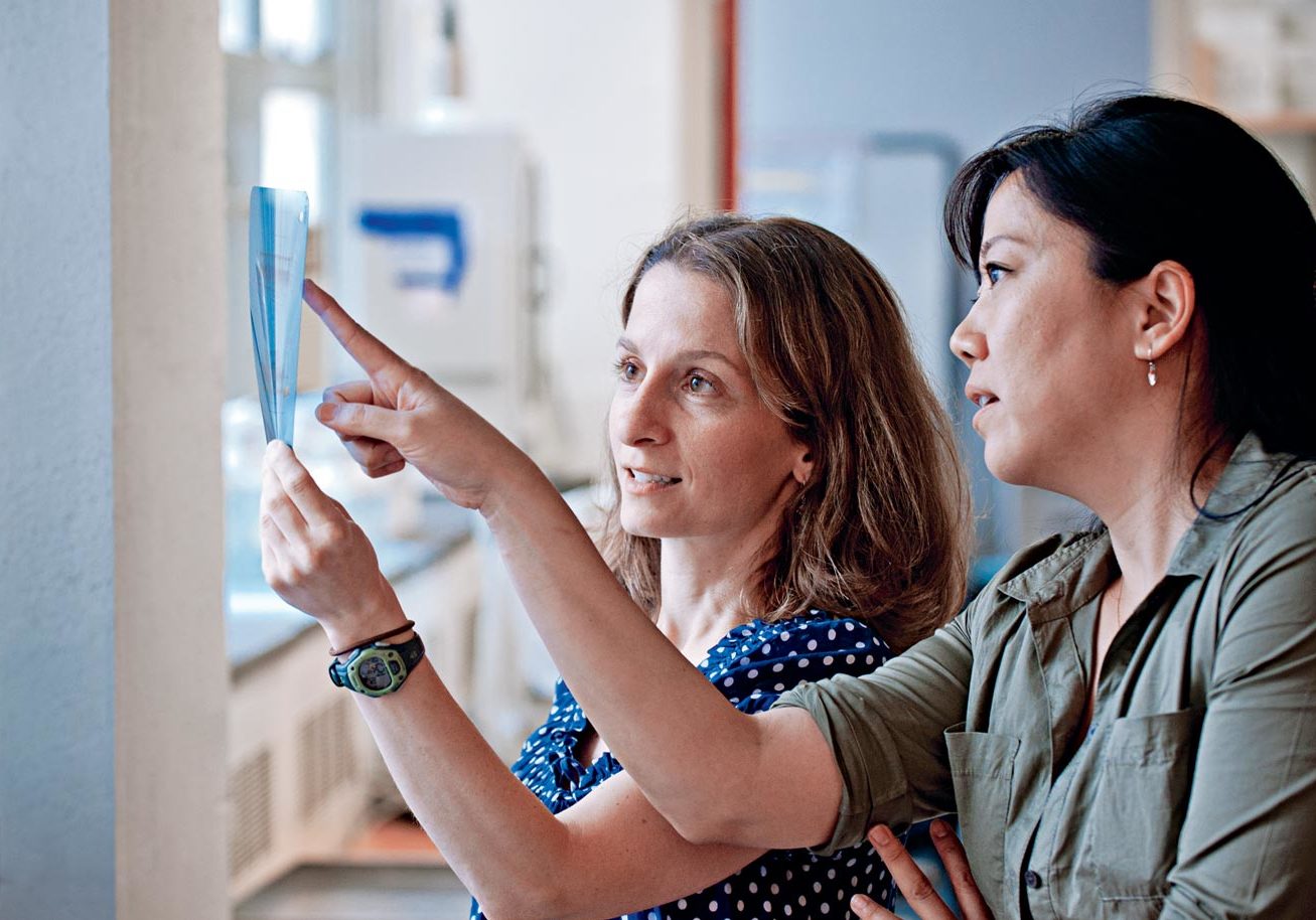 Two women in the cancer research department at NYU Langone looking at a chart together